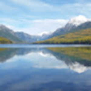 Meet your Posher, Richard